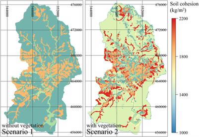 Assessment of dam function deterioration due to landslide-debris flows: numerical modeling based on vegetation distribution scenarios